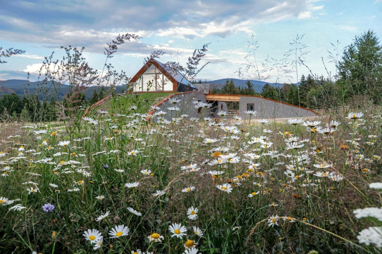 Beechtree Property Izvoare (Harghita) Exterior foto